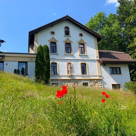 Maison D Hotes Villa Les Pervenches La Chaux De Fonds Buitenkant foto
